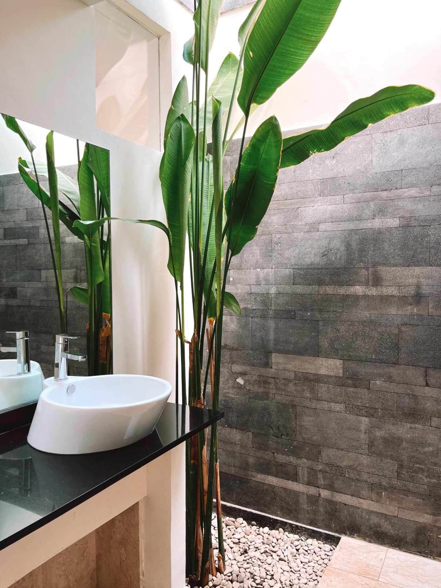 Aster Villa Seminyak Extérieur photo